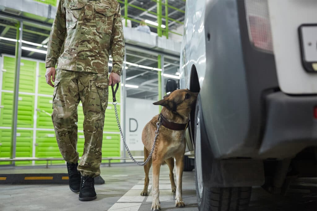a warehouse security dog with its handler sniffing a van within the premises